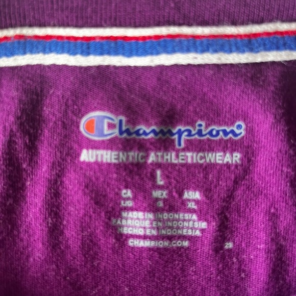 Champion Deep Purple Crewneck with White Stripes - Picture 5 of 9